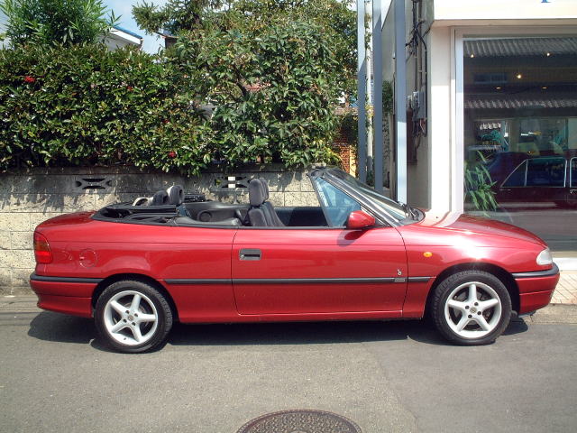 �I�y���A�X�g���J�u���I