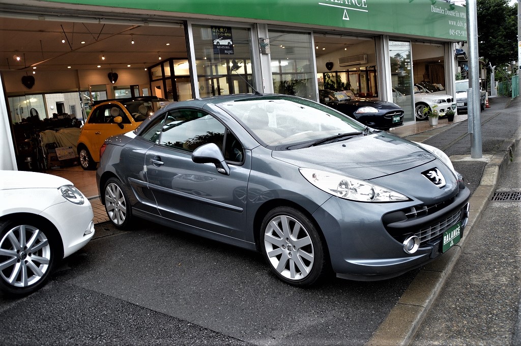 新品同様✩グレースコンチネンタル✩ブラック✩フード有✩柔らか✩軽い✩12万 2021 Dodge Challenger at VA - Chatham, Copart lot 96367705