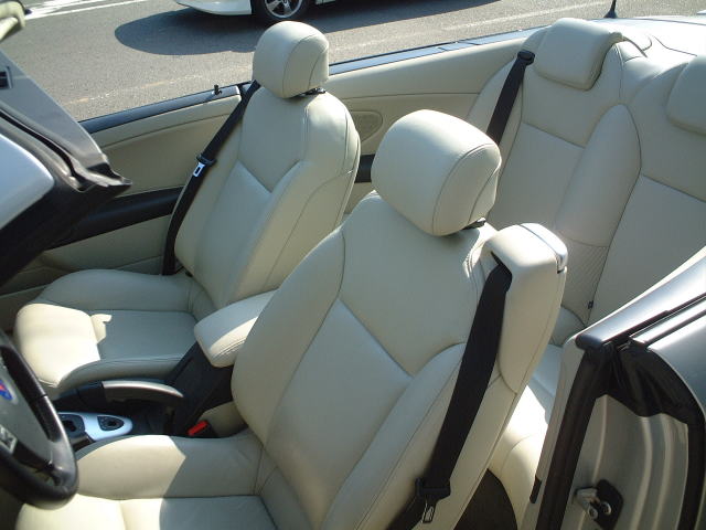 �T�[�u�X�|�R�J�u���I���G�A��