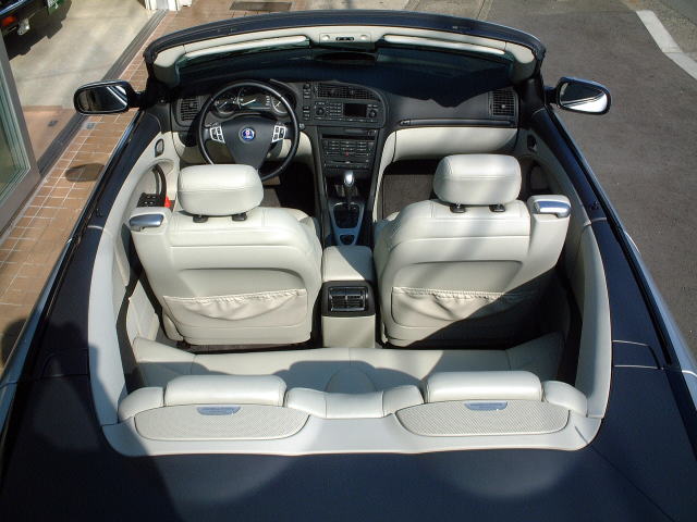 �T�[�u�X�|�R�J�u���I���G�A��