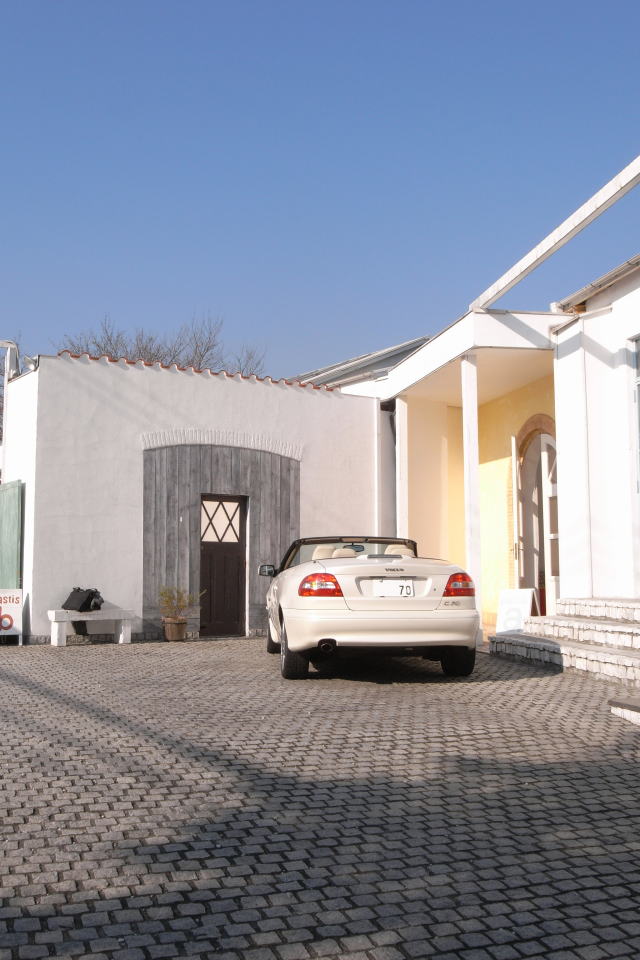 �{���{C�V�O�J�u���I��