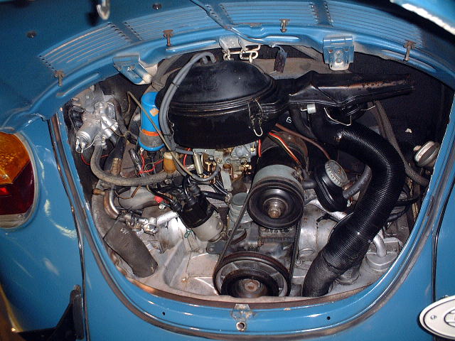 ���[�Q���r�[�g���J�u���I��